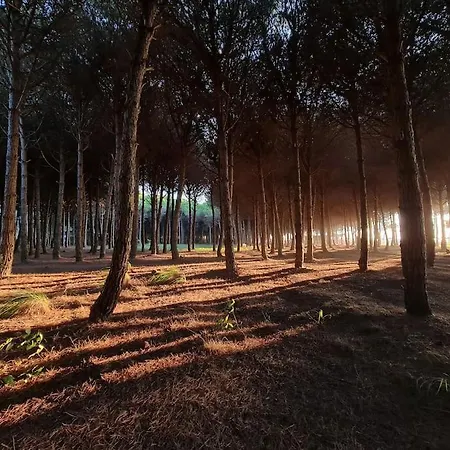 Beautiful In Laguna 公寓 *