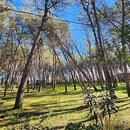 Beautiful In Laguna *