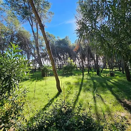 Διαμέρισμα Beautiful In Laguna Golem (Tirana)