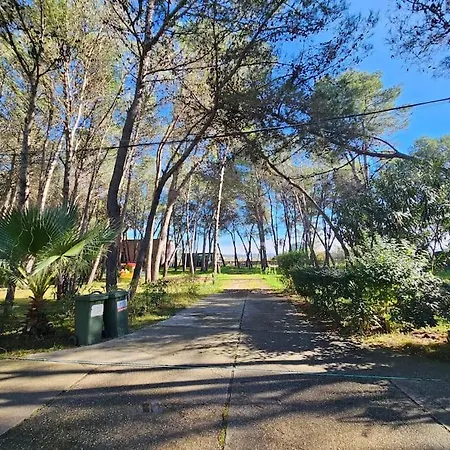 Beautiful In Laguna Apartament Golem (Tirana)