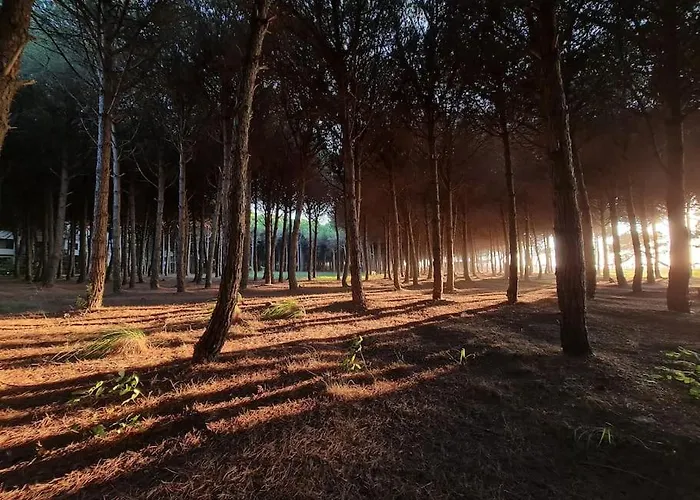 Beautiful In Laguna Διαμέρισμα *