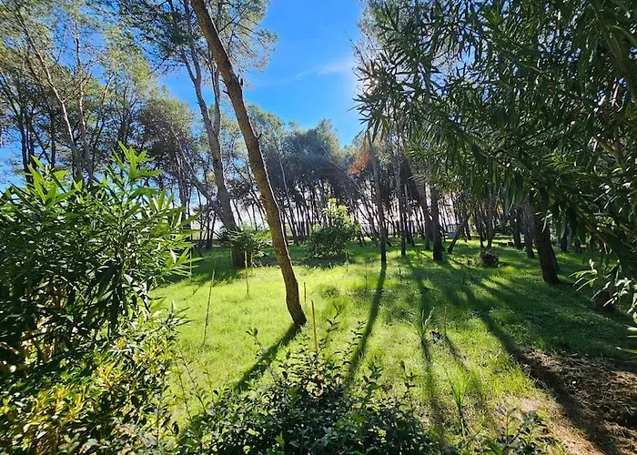 Διαμέρισμα Beautiful In Laguna Golem (Tirana)