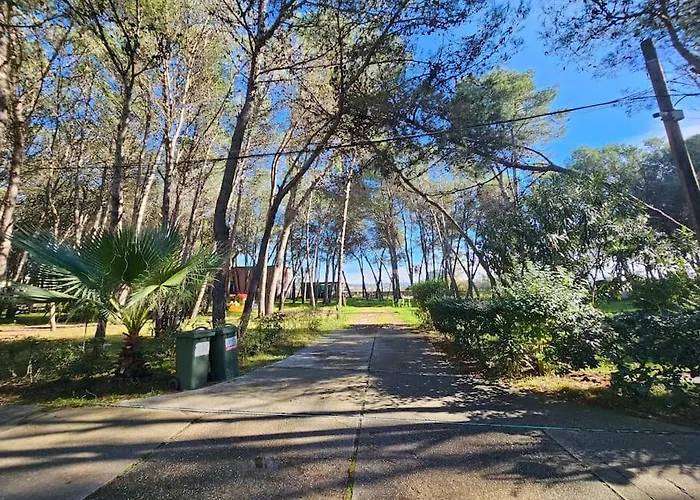 Beautiful In Laguna Διαμέρισμα Golem (Tirana)